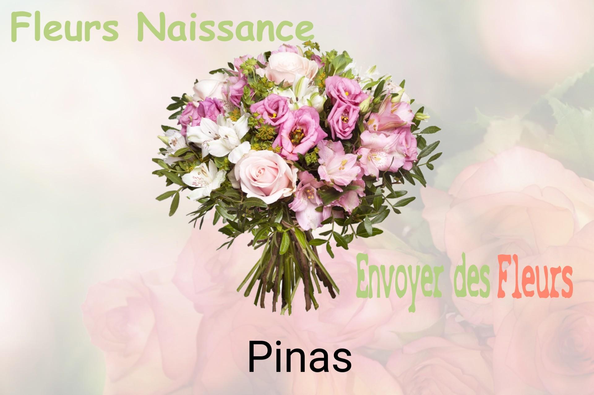 Bouquet de fleurs de naissance livré à Pinas